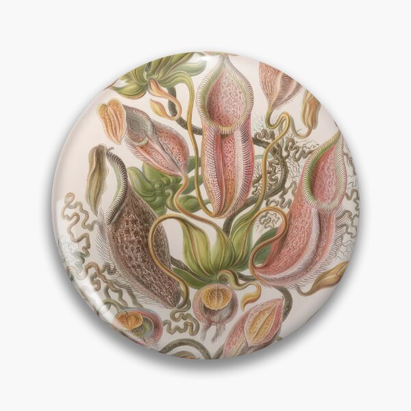 Item preview, Ernst Haeckel  designed and sold by Art-KaBoom.