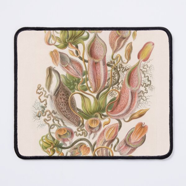 Item preview, Ernst Haeckel  designed and sold by Art-KaBoom.