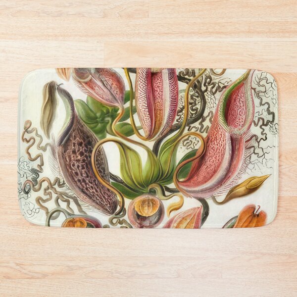 Item preview, Ernst Haeckel  designed and sold by Art-KaBoom.