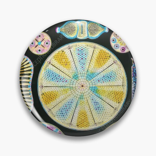 Item preview, Ernst Haeckel  designed and sold by Art-KaBoom.