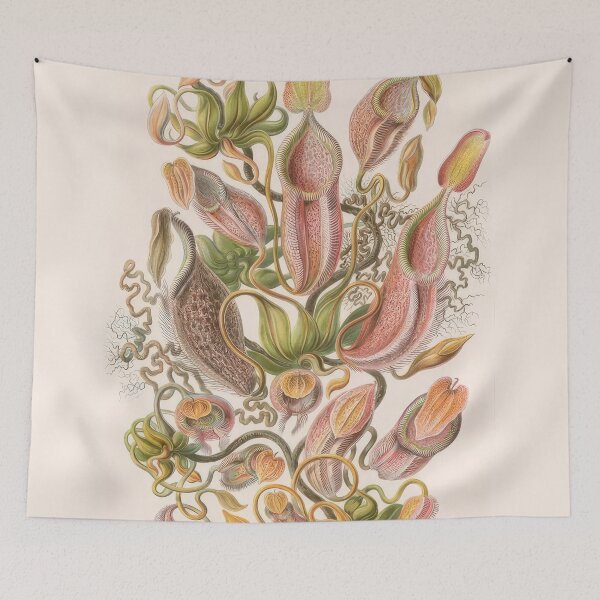 Item preview, Ernst Haeckel  designed and sold by Art-KaBoom.