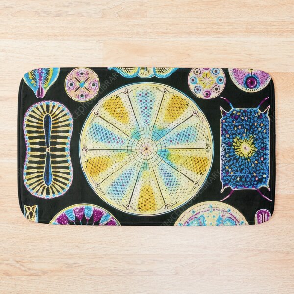 Item preview, Ernst Haeckel  designed and sold by Art-KaBoom.