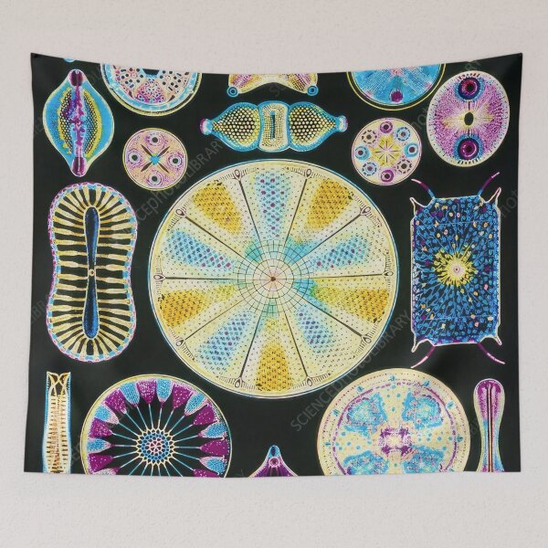 Item preview, Ernst Haeckel  designed and sold by Art-KaBoom.