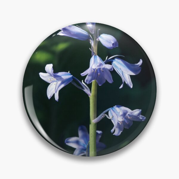 Item preview, Bluebell Macro designed and sold by Tom McPherson Photography.