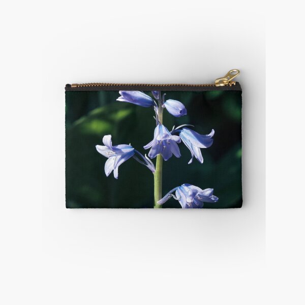 Artikelvorschau, Bluebell Macro entworfen und verkauft von Tom McPherson Photography.