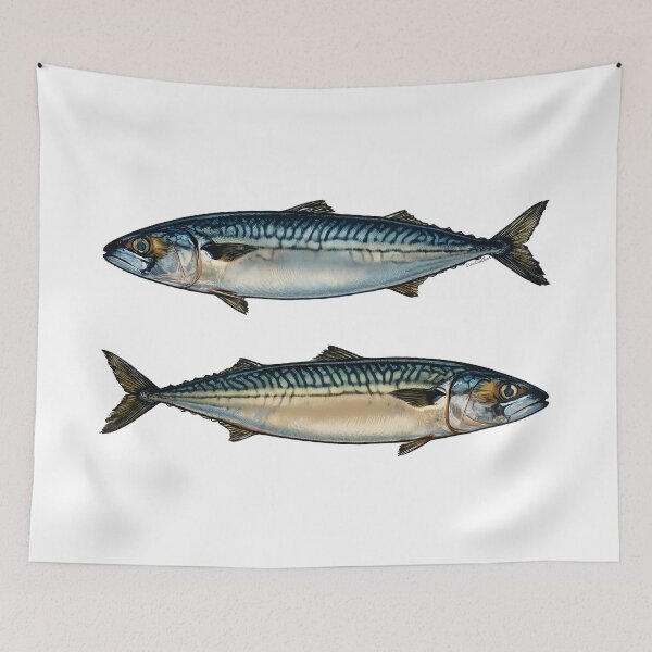Item preview, Atlantic Mackerel Pair Clean Marine Illustration Minimalist Naturalist Style designed and sold by LisaTumi.art.