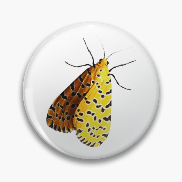 Item preview, Moth designed and sold by di-Vera-Rosati.