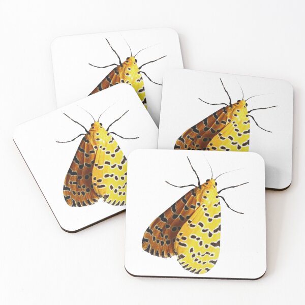 Item preview, Moth designed and sold by di-Vera-Rosati.