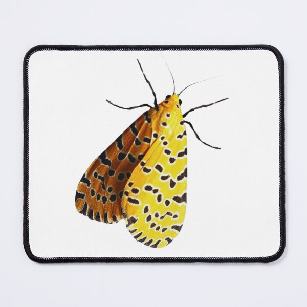 Item preview, Moth designed and sold by di-Vera-Rosati.