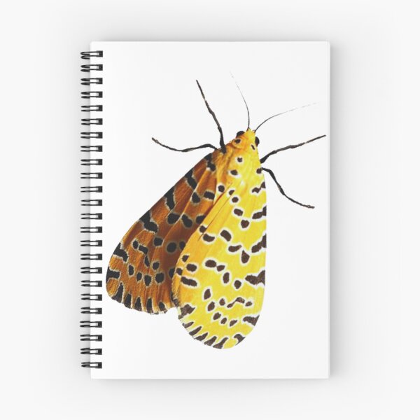 Item preview, Moth designed and sold by di-Vera-Rosati.