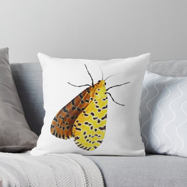 Item preview, Moth designed and sold by di-Vera-Rosati.