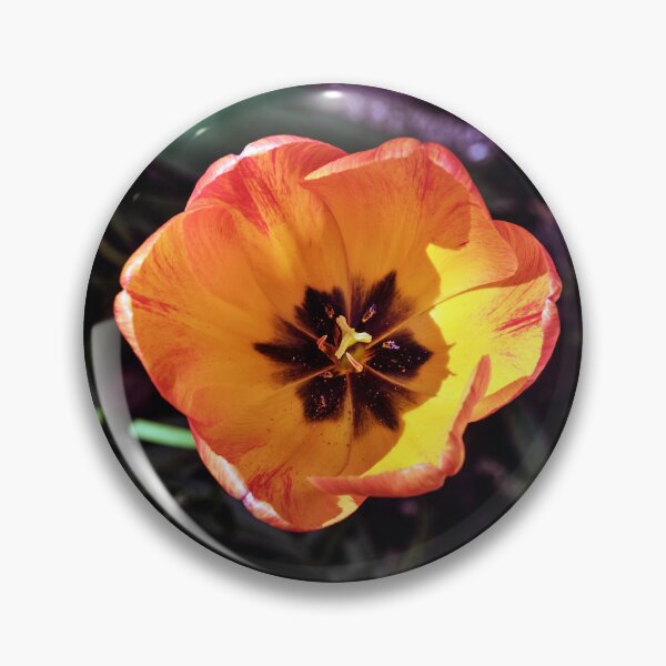Item preview, Macro Photo of a Single Tulip designed and sold by Tom McPherson Photography.