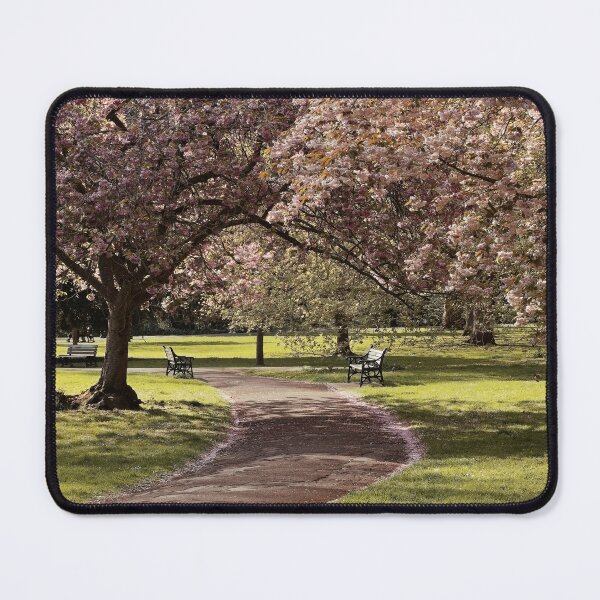Item preview, Henrietta Gardens pink Cherry Blossom in Spring designed and sold by duncan1980uk.