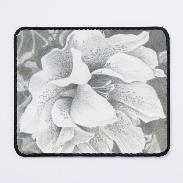 Item preview, Silverpoint Drawing of a Helleborus Orientalis designed and sold by LymphomaLass.