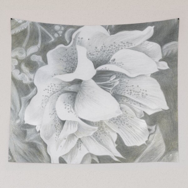 Item preview, Silverpoint Drawing of a Helleborus Orientalis designed and sold by LymphomaLass.