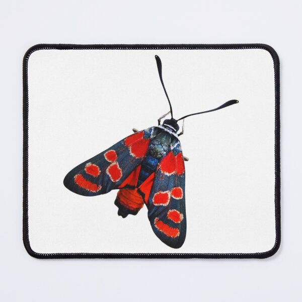 Item preview, Butterfly designed and sold by di-Vera-Rosati.