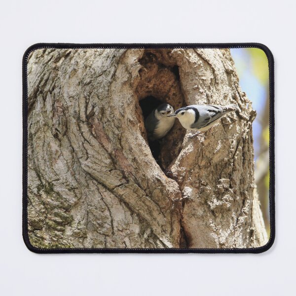 Item preview, White-breasted Nuthatch Pair designed and sold by Chris Coates Photography.com.