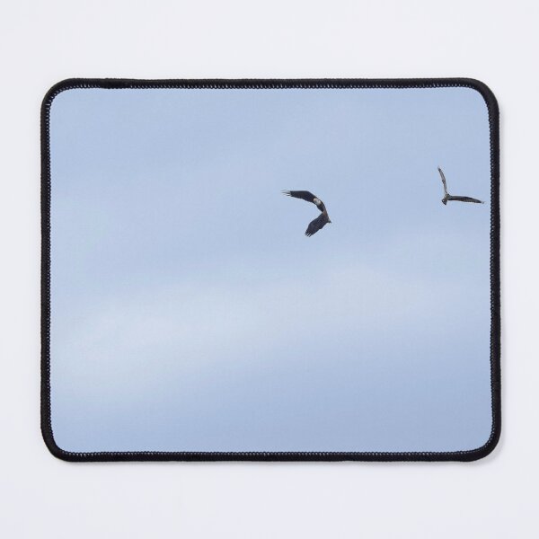 Item preview, Eagle and Osprey in flight together designed and sold by lisavonbiela.