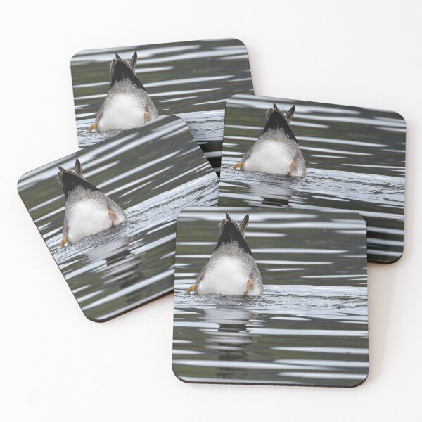 Item preview, Gadwall Duck dabbling for food in the lake designed and sold by lisavonbiela.