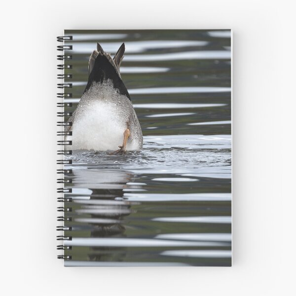 Item preview, Gadwall Duck dabbling for food in the lake designed and sold by lisavonbiela.