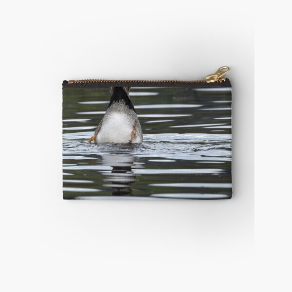 Item preview, Gadwall Duck dabbling for food in the lake designed and sold by lisavonbiela.