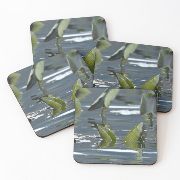 Item preview, Xpan image of lake plants floating on the water's surface designed and sold by lisavonbiela.