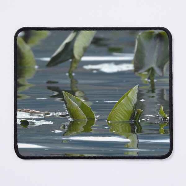 Item preview, Xpan image of lake plants floating on the water's surface designed and sold by lisavonbiela.