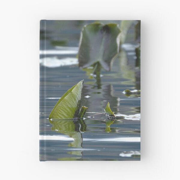 Item preview, Xpan image of lake plants floating on the water's surface designed and sold by lisavonbiela.