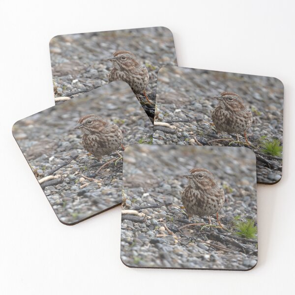 Item preview, Closeup of Song Sparrow with left eye to camera designed and sold by lisavonbiela.