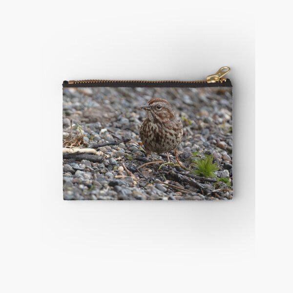Item preview, Closeup of Song Sparrow with left eye to camera designed and sold by lisavonbiela.