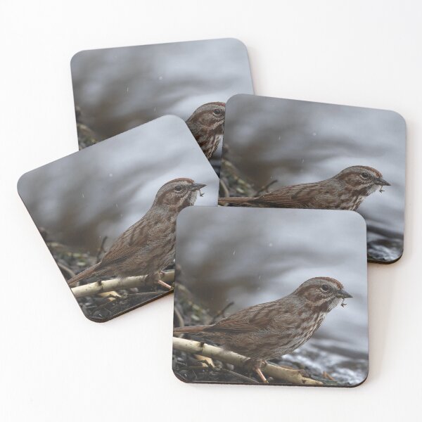 Item preview, Closeup of Song Sparrow in profile by lake tide designed and sold by lisavonbiela.
