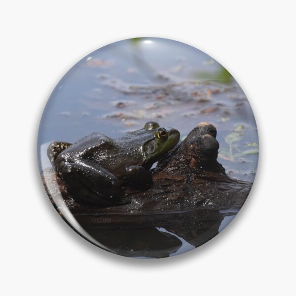 Item preview, Bullfrog designed and sold by LIFEwithSANTO.