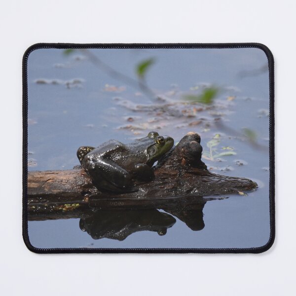 Item preview, Bullfrog designed and sold by LIFEwithSANTO.