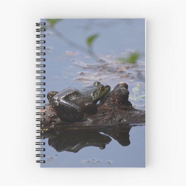 Item preview, Bullfrog designed and sold by LIFEwithSANTO.