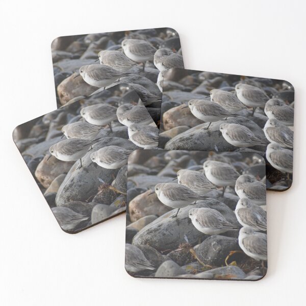 Item preview, Group of Sanderlings designed and sold by LIFEwithSANTO.