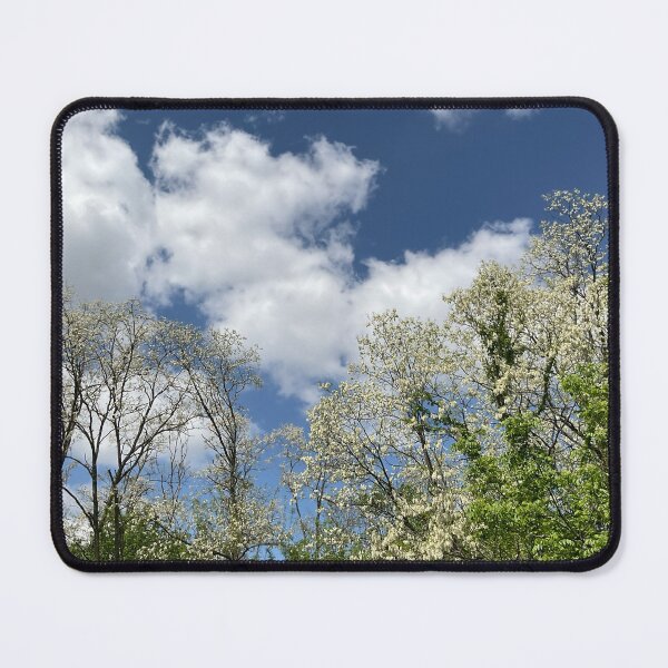 Item preview, Catalpa Alpha 3 designed and sold by Abeink1030.