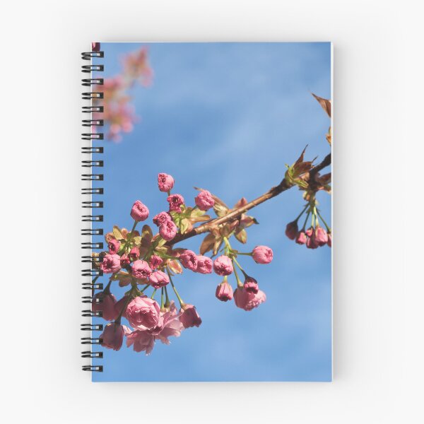 Item preview, Blossom Branch with blue sky designed and sold by  RIVER FLORA .