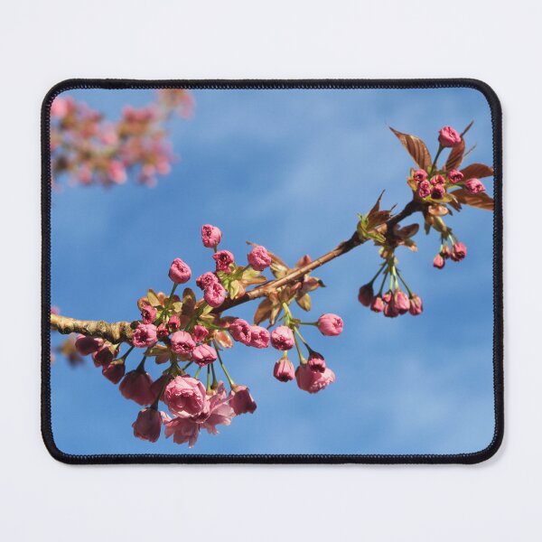 Item preview, Blossom Branch with blue sky designed and sold by  RIVER FLORA .