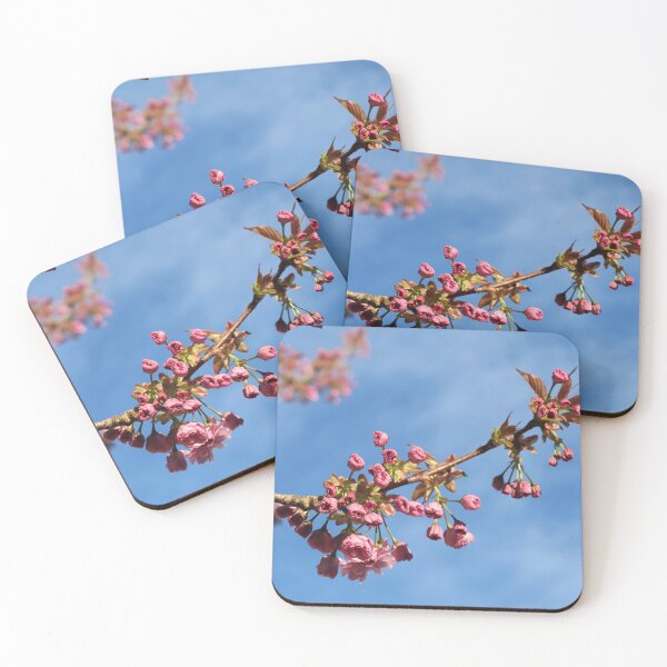 Artikelvorschau, Blütenzweig vor blauem Himmel entworfen und verkauft von xx RIVER FLORA xx.
