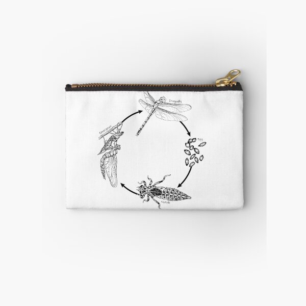 Item preview, Dragonfly Life Cycle designed and sold by SERCUL.