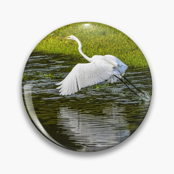 Item preview, Great Egret Taking Flight Out of the Water designed and sold by Pondside-Pics.