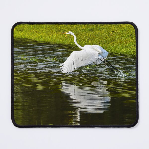 Item preview, Great Egret Taking Flight Out of the Water designed and sold by Pondside-Pics.