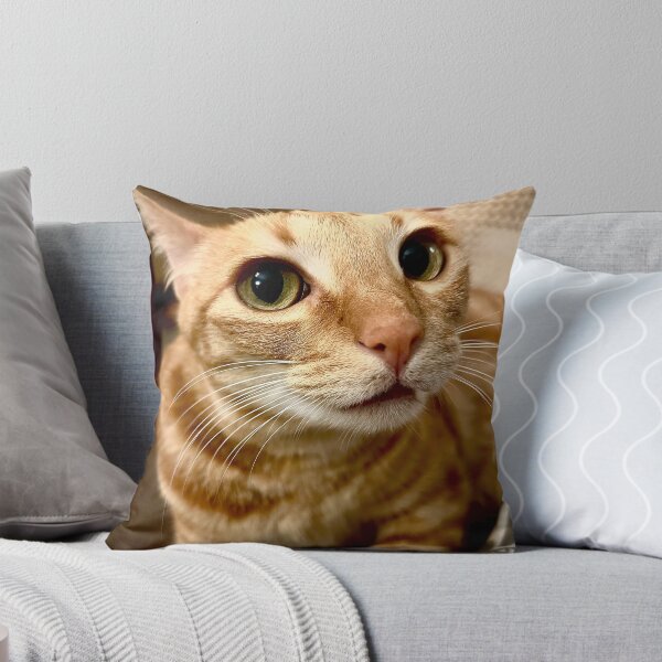 Item preview, Orange Tabby Cat Portrait designed and sold by Baulmonart.