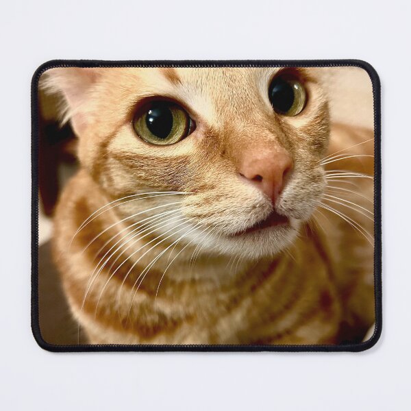 Item preview, Orange Tabby Cat Portrait designed and sold by Baulmonart.
