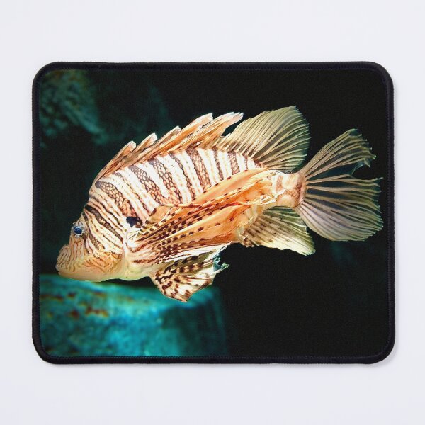 Item preview, Lionfish Portrait designed and sold by Baulmonart.