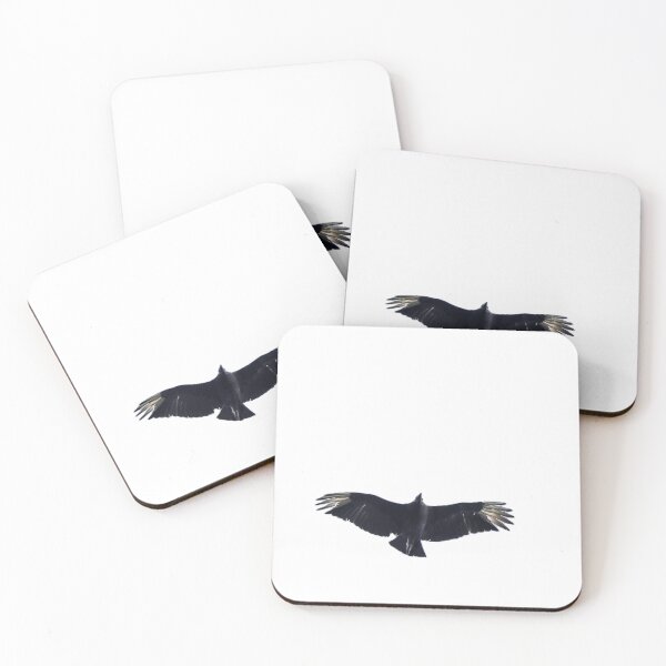 Item preview, Black Vulture in Flight designed and sold by Pondside-Pics.