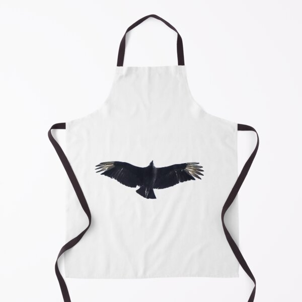 Item preview, Black Vulture in Flight designed and sold by Pondside-Pics.
