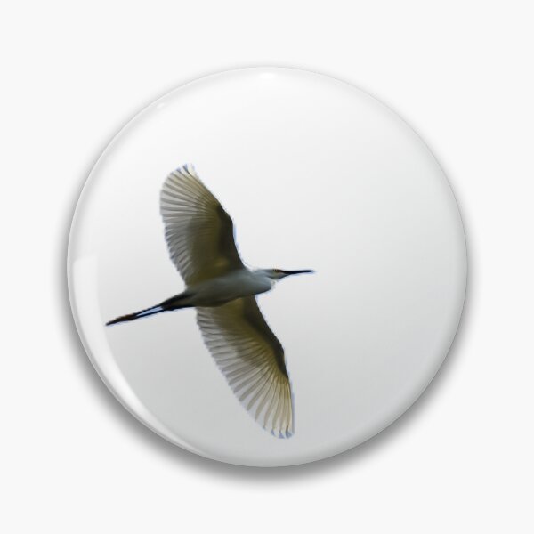 Item preview, Great Egret in Flight Overhead designed and sold by Pondside-Pics.