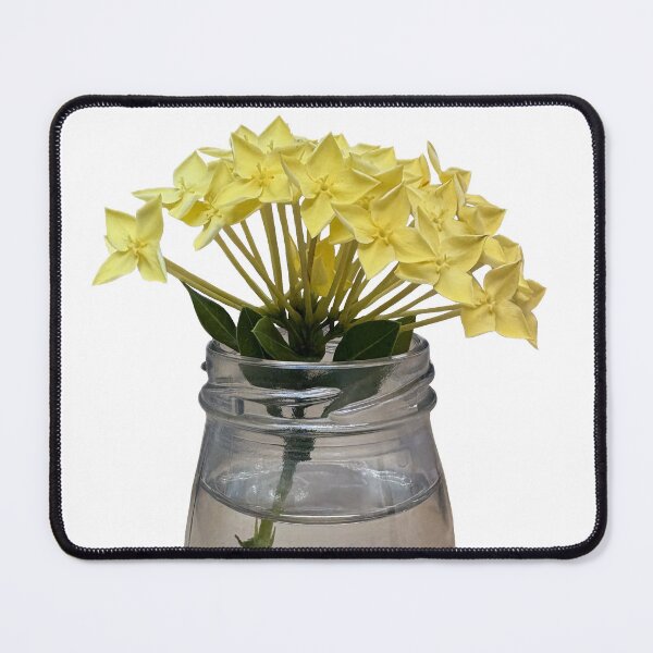 Item preview, yellow flowers in a vase, bunch of yellow flowers, yellow ixora flowers isolate on white background, tropical flower in Thailand designed and sold by pipikijung.