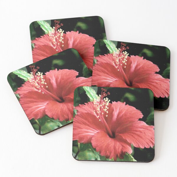 Artikelvorschau, Blumen Thailands 02b entworfen und verkauft von Lorelle Gifts.